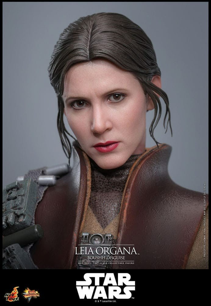 Star Wars Episode VI Movie Masterpiece Action Figure 1/6 Leia Organa (Boushh Disguise) 27 cm - KOOLTHINGS