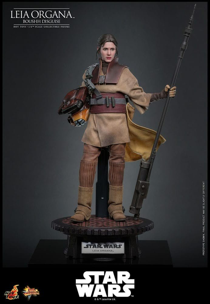Star Wars Episode VI Movie Masterpiece Action Figure 1/6 Leia Organa (Boushh Disguise) 27 cm - KOOLTHINGS