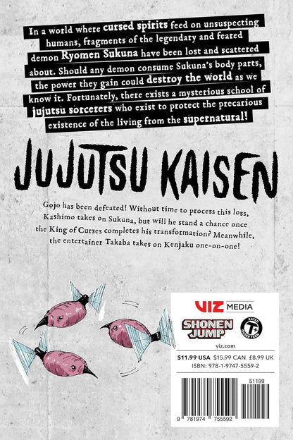 Jujutsu Kaisen, Vol. 27 - by Gege Akutami (Paperback) - KOOLTHINGS