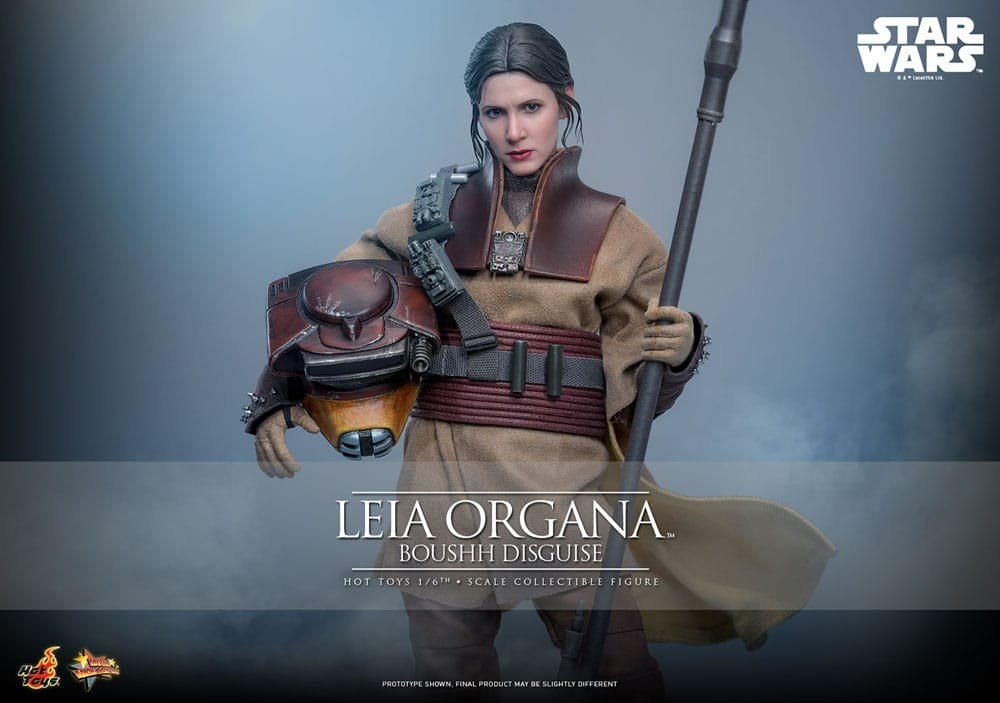 Star Wars Episode VI Movie Masterpiece Action Figure 1/6 Leia Organa (Boushh Disguise) 27 cm - KOOLTHINGS
