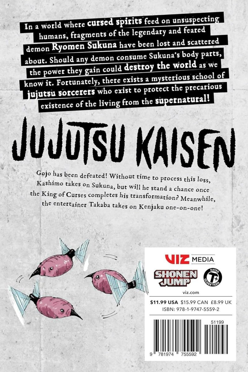 Jujutsu Kaisen, Vol. 27 - by Gege Akutami (Paperback) - KOOLTHINGS