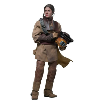 Star Wars Episode VI Movie Masterpiece Action Figure 1/6 Leia Organa (Boushh Disguise) 27 cm - KOOLTHINGS