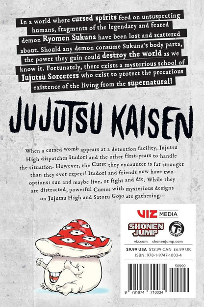 Jujutsu Kaisen, Vol. 2 (2) by Gege Akutami - KOOLTHINGS