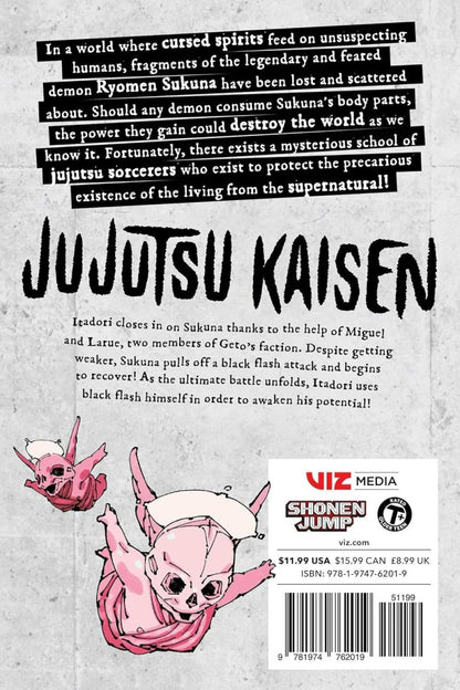 Jujutsu Kaisen, Vol. 29, by Gege Akutami - KOOLTHINGS