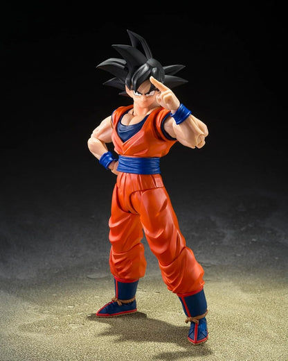Manga Action Figure
