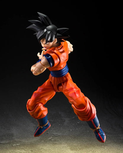 Dragon Ball Z
